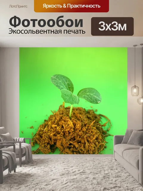 Фотообои Молодое дерево