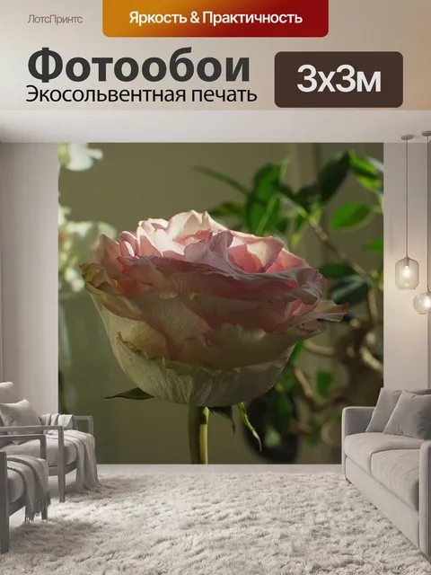 Фотообои Бледно-розовый