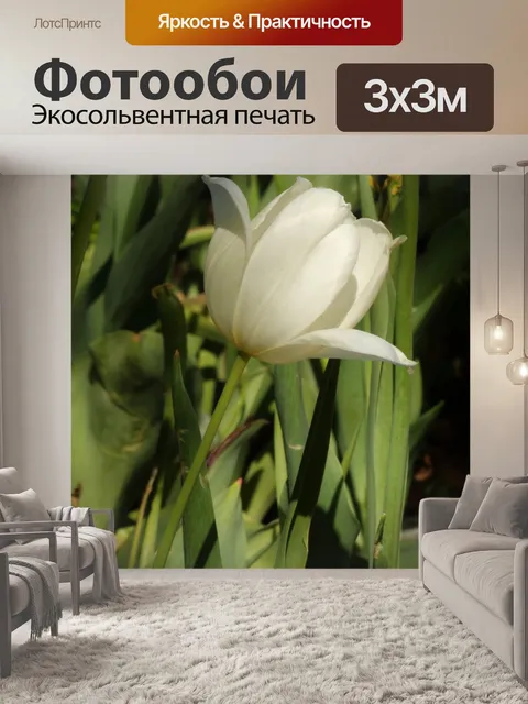 Фотообои Один белый тюльпан на зеленый