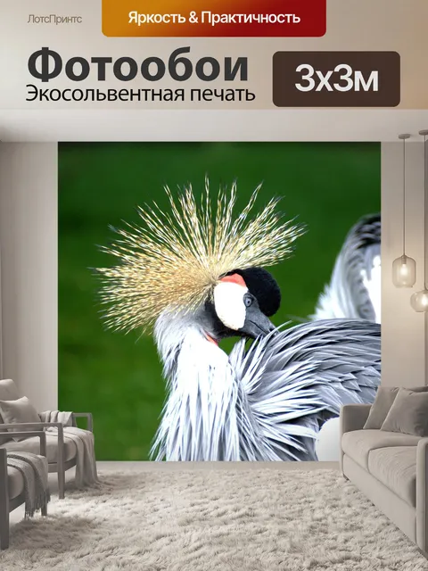 Фотообои Венценосный журавль