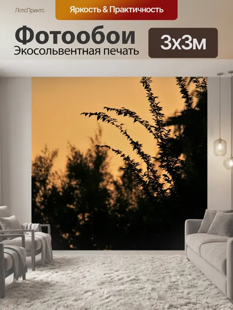 Фотообои силуэты деревьев в мягкой неба