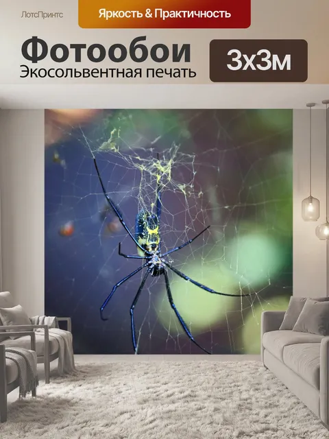Фотообои золотой шар ткач паук в ее сети