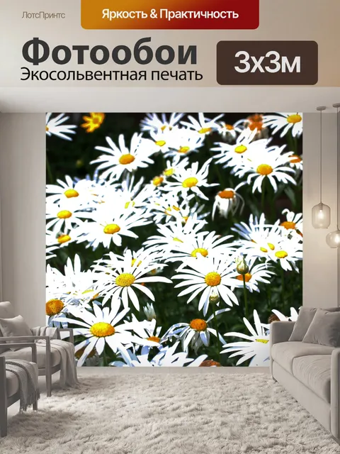 Фотообои участок белых ромашек в саду