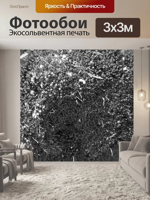 Фотообои Мосс текстуры я