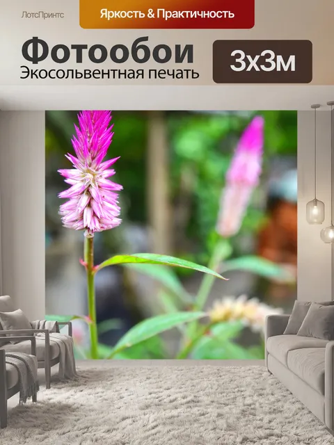 Фотообои Цветы