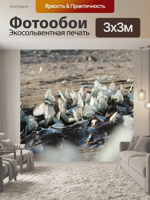 Фотообои Природа