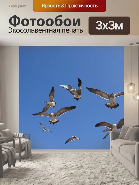 Фотообои Птицы