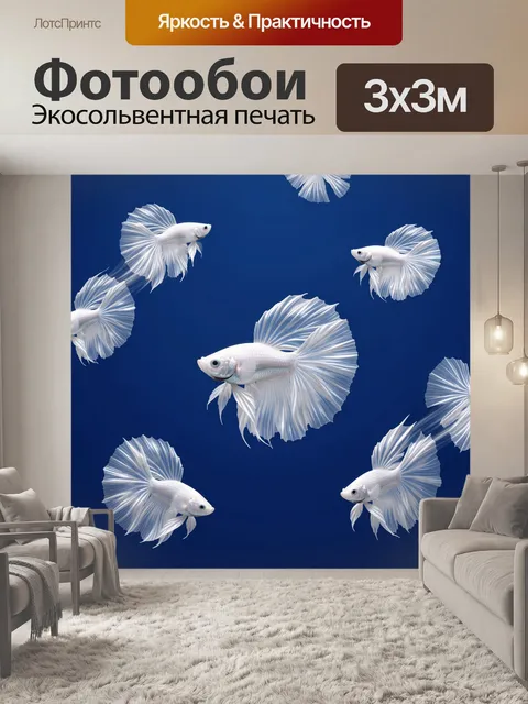 Фотообои Белые бетта рыбы на синем фоне