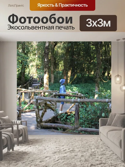 Фотообои Лес