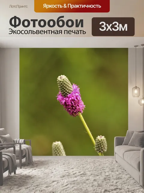 Фотообои Фиолетовый Prairie Clover Wildflower