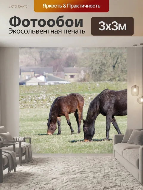 Фотообои Лошади пасутся