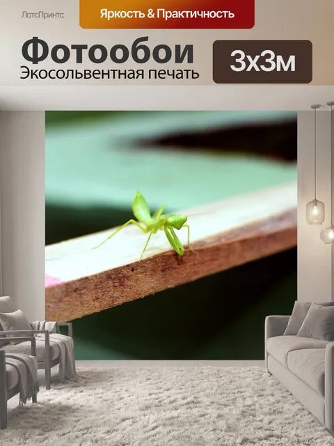 Фотообои Богомол