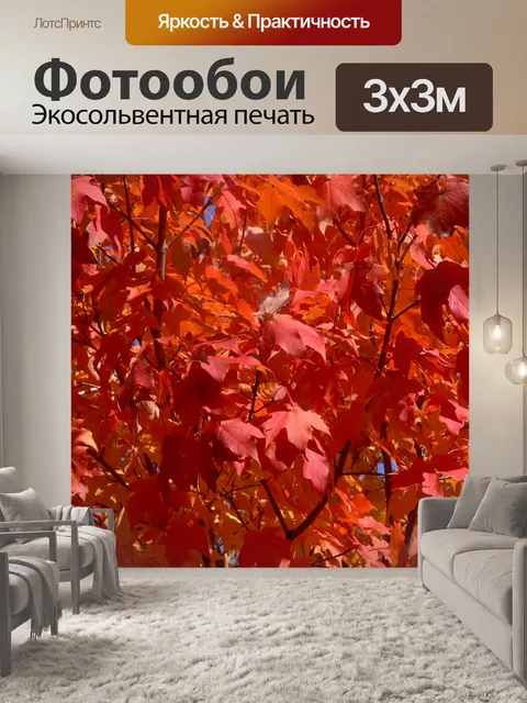 Фотообои Красные листья осенью