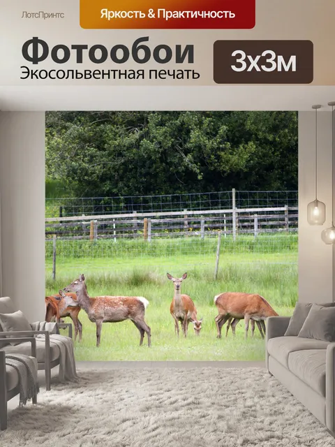 Фотообои Олень Стадо