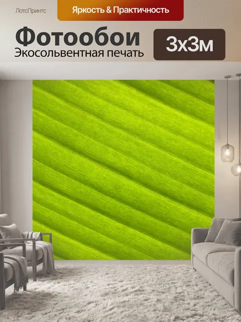 Фотообои Зеленый лист пальмы