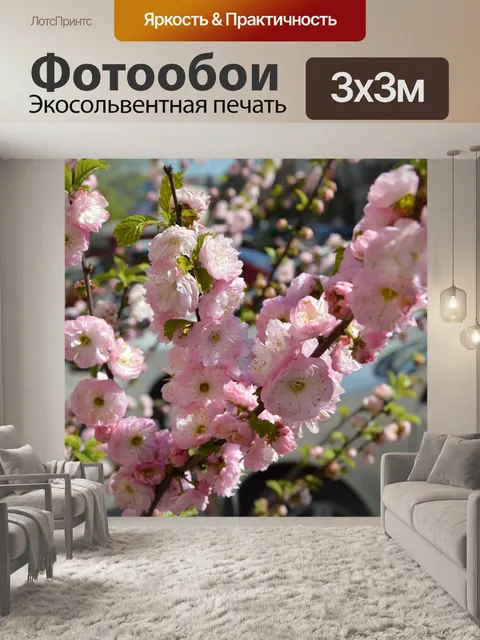 Фотообои Сакура