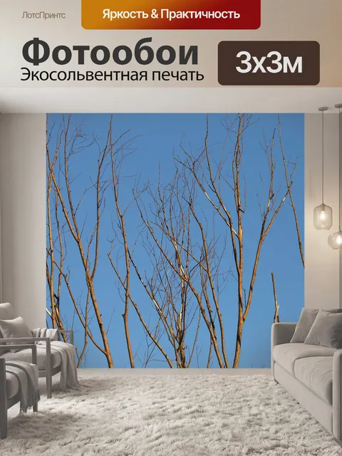Фотообои Сухие ветки