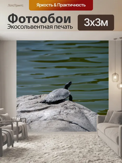 Фотообои черепаха