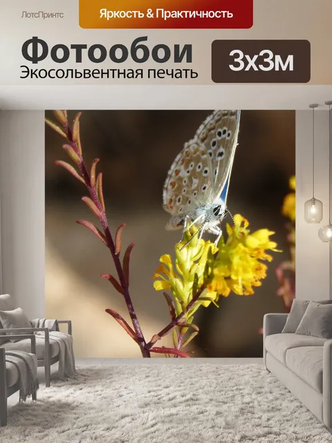 Фотообои Голубая бабочка