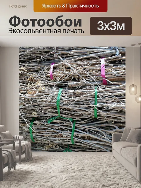 Фотообои Промежность