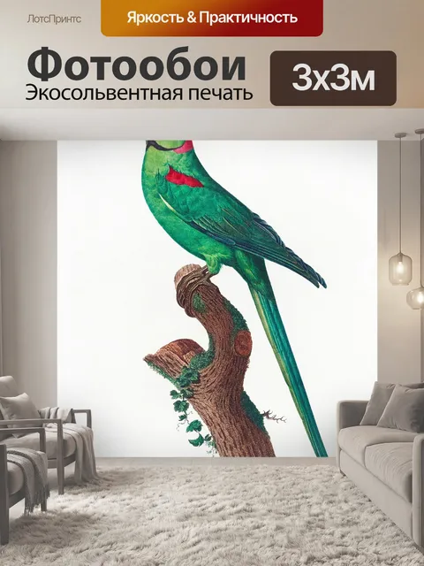 Фотообои Попугай птица старинное искусство
