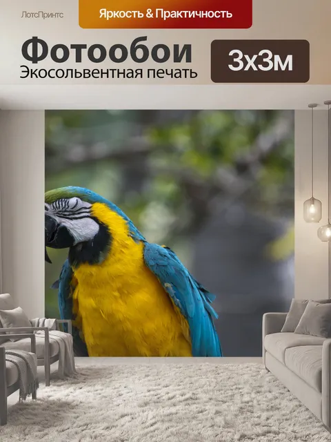 Фотообои Ара