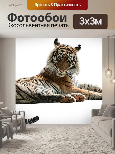 Фотообои Тигр