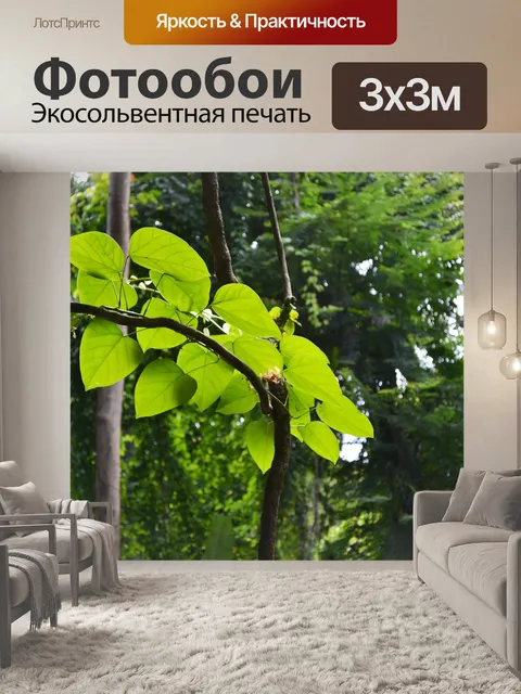 Фотообои Лоза