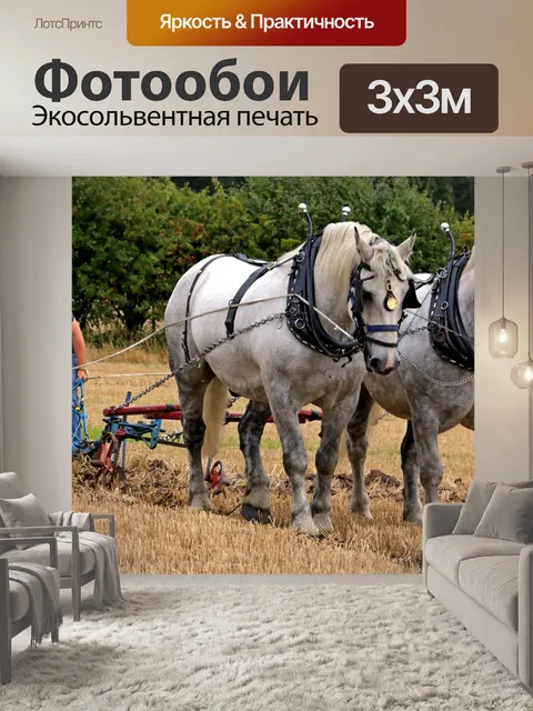 Фотообои Лошади в упряжке