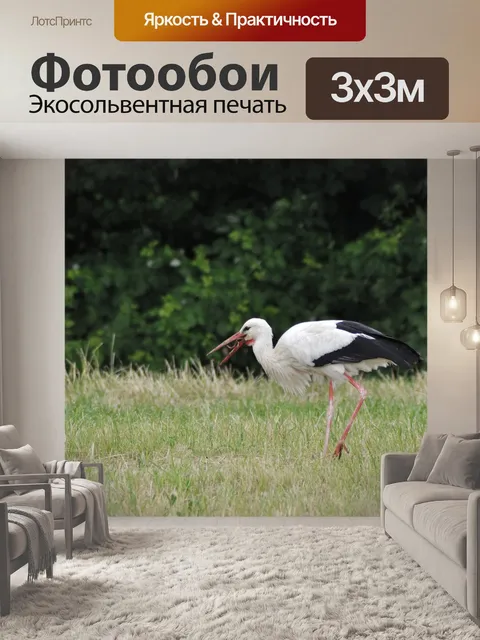 Фотообои Аист