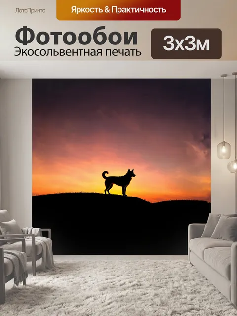 Фотообои вечерний закат окрашивает небо в теплые оттенки оранжевого и пурпурного