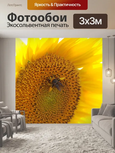 Фотообои Подсолнечник
