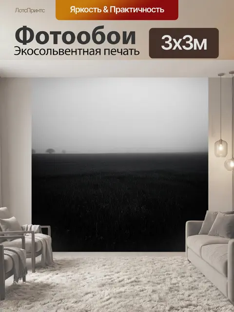 Фотообои поле, завуалированное утренним туманом, придающим загадочность, выполненное в черно-белой фотографии с…