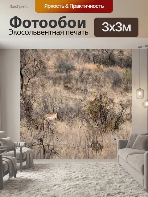 Фотообои овца импала стоит в высокой траве