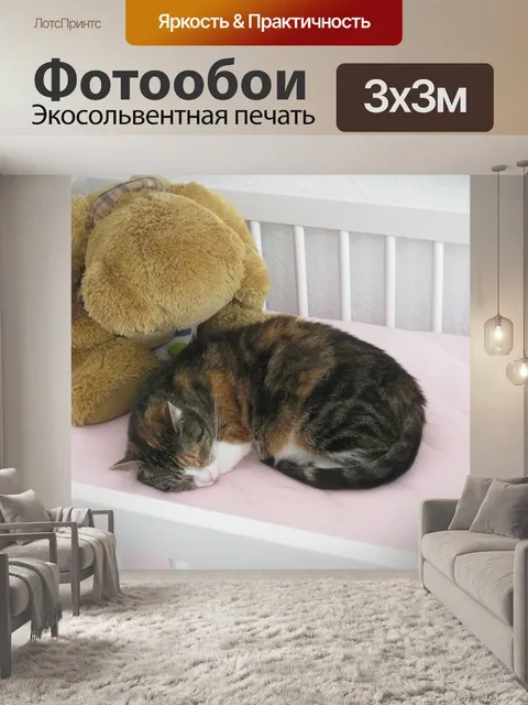 Фотообои Кот