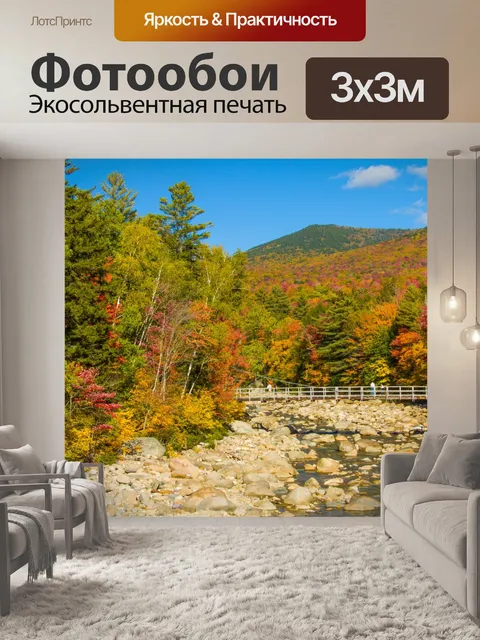 Фотообои Мост в лесу осенью