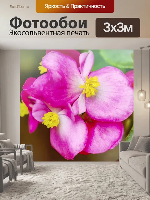 Фотообои Цветок