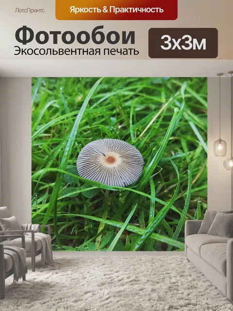 Фотообои Трава