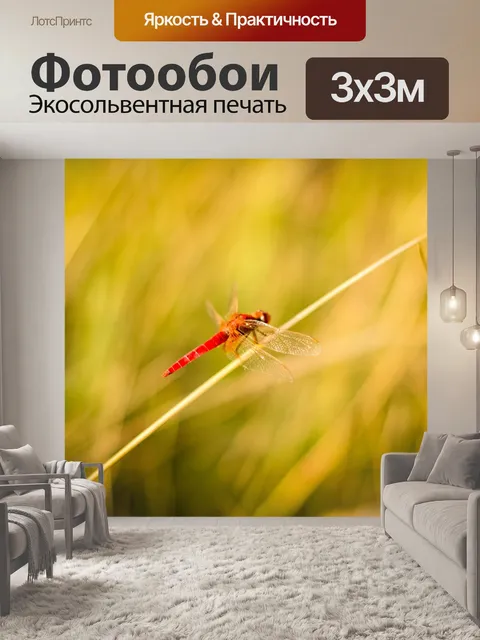 Фотообои Трава