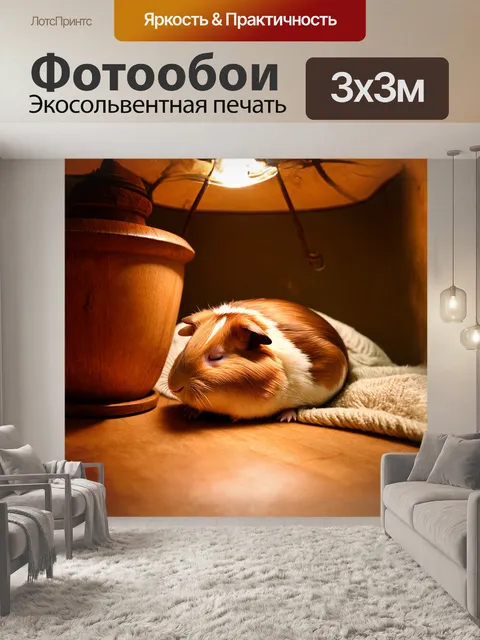 Фотообои морская свинка, свернувшаяся в клубок, спит на мягком пледе рядом с древесным вазоном