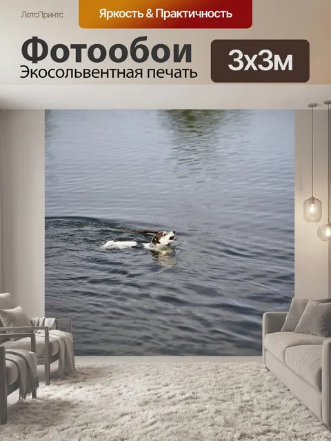 Фотообои Собака