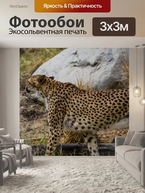 Фотообои пума