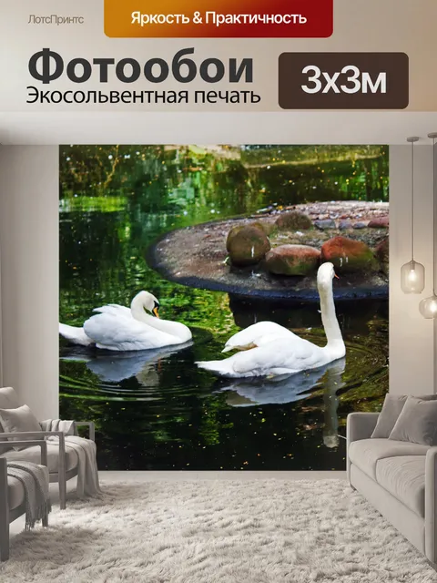 Фотообои два белых лебедя плавают на пруду
