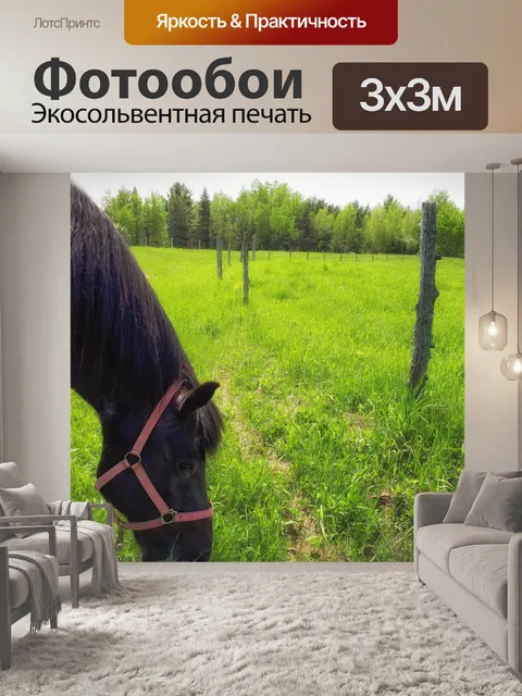 Фотообои Лошадь ест траву