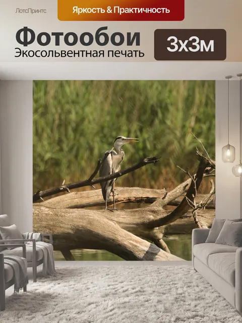 Фотообои Цапля