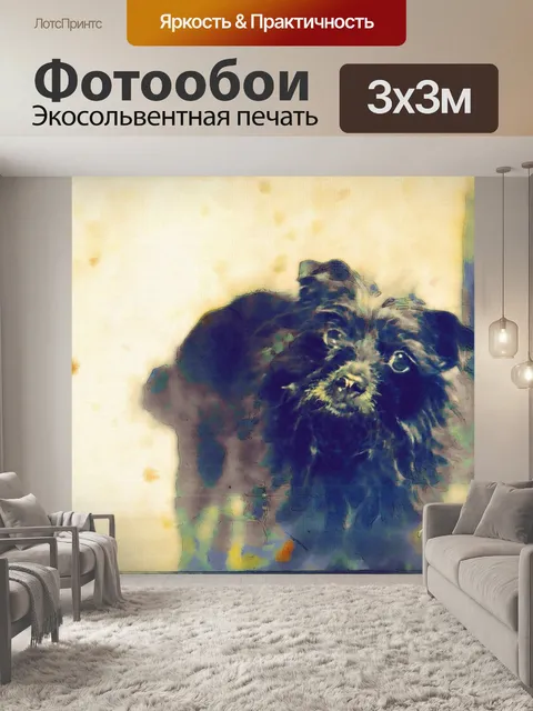 Фотообои Черная собака смотрит на тебя