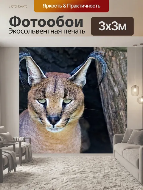 Фотообои Особенность