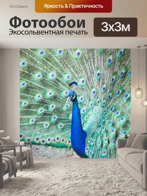 Фотообои Профиль павлина