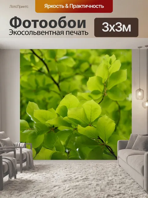 Фотообои Листья