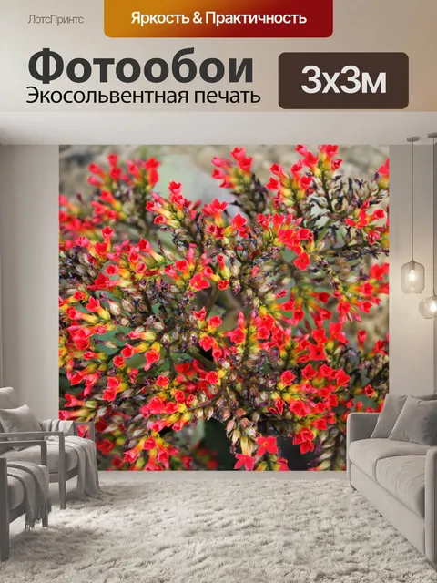 Фотообои красные крошечные цветы